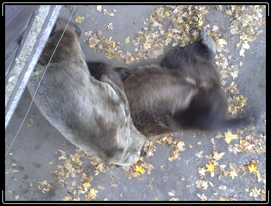 Dalí snímek
