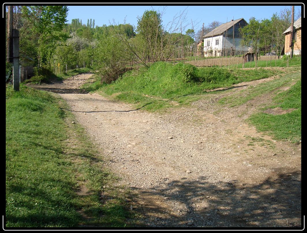 Dalí snímek