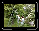 02062007052 * 2592 x 1944 * (1.4MB)