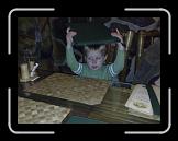 08092007209 * 2592 x 1944 * (495KB)