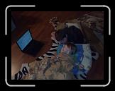 14012008575 * 2592 x 1944 * (412KB)