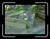 20062006158 * 1600 x 1200 * (450KB)
