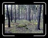 22102007376 * 2592 x 1944 * (1.59MB)