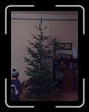 23122007499 * 1944 x 2592 * (407KB)