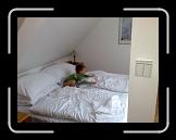 27102007397 * 2592 x 1944 * (491KB)