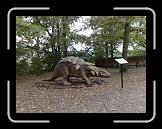 28092007294 * 2592 x 1944 * (1.46MB)