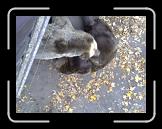 28102007413 * 2592 x 1944 * (804KB)