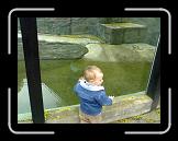 29042006125 * 1600 x 1200 * (354KB)