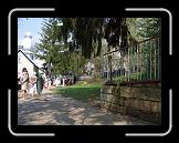 CIMG0105 * 2816 x 2112 * (3.0MB)