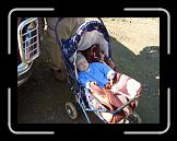 CIMG0280 * 2816 x 2112 * (2.99MB)