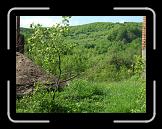 CIMG0319 * 2816 x 2112 * (3.03MB)