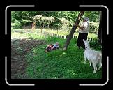 CIMG0388 * 2816 x 2112 * (3.04MB)