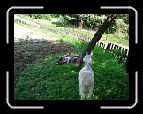 CIMG0389 * 2816 x 2112 * (3.01MB)