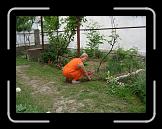 CIMG0399 * 2816 x 2112 * (3.0MB)