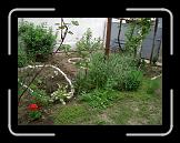 CIMG0401 * 2816 x 2112 * (3.03MB)