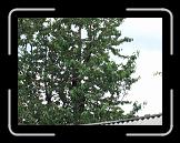 CIMG0422 * 2816 x 2112 * (3.04MB)