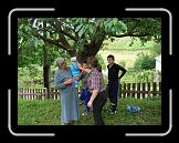 CIMG0424 * 2816 x 2112 * (2.99MB)