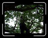 CIMG0431 * 2816 x 2112 * (2.98MB)