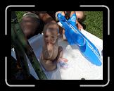 CIMG0509 * 2816 x 2112 * (2.97MB)