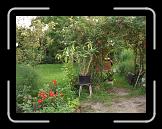 CIMG0532 * 2816 x 2112 * (2.97MB)