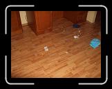 CIMG0587 * 2816 x 2112 * (2.9MB)