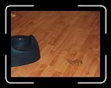 CIMG0697 * 2816 x 2112 * (2.96MB)