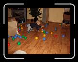 CIMG0735 * 2816 x 2112 * (2.93MB)