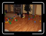 CIMG0739 * 2816 x 2112 * (2.94MB)