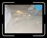 CIMG0770 * 2816 x 2112 * (2.91MB)