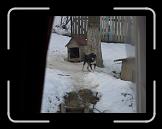 CIMG0831 * 2816 x 2112 * (2.94MB)