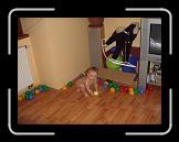 CIMG0893 * 2816 x 2112 * (2.89MB)